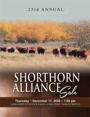 Cover of 2020 Shorthorn Alliance Sale catalogue